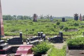 Hải Phòng: Thiếu chỗ chôn, nhiều xã đem lợn chết chôn trong nghĩa trang thôn Hải Phòng: Thiếu chỗ chôn, nhiều xã đem lợn chết chôn trong nghĩa trang thôn