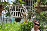 Khu vườn sân thượng xanh mướt rau sạch của người đàn ông chăm chỉ trồng cho gia đình ở Sài Gòn Khu vườn sân thượng xanh mướt rau sạch của người đàn ông chăm chỉ trồng cho gia đình ở Sài Gòn
