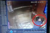 Vụ ông Nguyễn Hữu Linh "nựng" bé gái: Vợ gửi tâm thư đau đớn Vụ ông Nguyễn Hữu Linh "nựng" bé gái: Vợ gửi tâm thư đau đớn