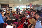 Nghỉ lễ, mất tiền tham quan đảo Cát Bà... từ xa Nghỉ lễ, mất tiền tham quan đảo Cát Bà... từ xa