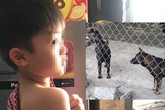 Vụ cháu bé 7 tuổi bị đàn chó tấn công tử vong: Nhiều nạn nhân đã từng bị chó cắn Vụ cháu bé 7 tuổi bị đàn chó tấn công tử vong: Nhiều nạn nhân đã từng bị chó cắn