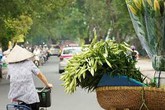 Đợt nắng nóng đầu tiên của năm 2019 tấn công miền Bắc Đợt nắng nóng đầu tiên của năm 2019 tấn công miền Bắc