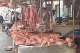 Giá lợn hơi cán mốc 50.000đ/kg, thịt có nguồn gốc lên ngôi Giá lợn hơi cán mốc 50.000đ/kg, thịt có nguồn gốc lên ngôi