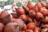 Người Hà Nội thích thú với loại quả hình bầu dục, ăn giống sầu riêng Người Hà Nội thích thú với loại quả hình bầu dục, ăn giống sầu riêng