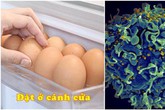 Ngày nào cũng để trứng sau cửa tủ lạnh, nghe chuyên gia nói tác hại mà “rụng rời” Ngày nào cũng để trứng sau cửa tủ lạnh, nghe chuyên gia nói tác hại mà “rụng rời”