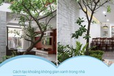 Dù nhà nhỏ tới đâu nếu áp dụng cách này sẽ luôn tạo được khoảng không gian xanh trong nhà Dù nhà nhỏ tới đâu nếu áp dụng cách này sẽ luôn tạo được khoảng không gian xanh trong nhà