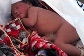 Bé gái sơ sinh còn nguyên dây rốn bị bỏ rơi trong công viên Nha Trang Bé gái sơ sinh còn nguyên dây rốn bị bỏ rơi trong công viên Nha Trang