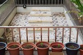 Chủ nhà khổ 3 năm vì chiếc bể cá tự xây Chủ nhà khổ 3 năm vì chiếc bể cá tự xây
