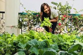 Sân thượng đầy ắp rau quả sạch nhờ bàn tay chăm sóc đảm đang của cô giáo ở Hải Dương Sân thượng đầy ắp rau quả sạch nhờ bàn tay chăm sóc đảm đang của cô giáo ở Hải Dương