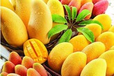 Cách chọn xoài tươi ngon “bách phát bách trúng” Cách chọn xoài tươi ngon “bách phát bách trúng”