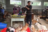 Người đàn ông tán gia bại sản vì cưu mang chó Người đàn ông tán gia bại sản vì cưu mang chó