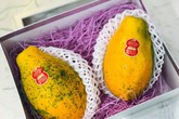 Quả đu đủ nhỏ như hàng thứ phẩm nhưng giá chát 1 triệu đồng/kg Quả đu đủ nhỏ như hàng thứ phẩm nhưng giá chát 1 triệu đồng/kg