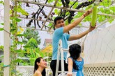 'Nông trại mini' trong biệt thự của Thủy Tiên - Công Vinh 'Nông trại mini' trong biệt thự của Thủy Tiên - Công Vinh