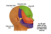 Bác sĩ hướng dẫn xử trí khi bị đau giật mặt Bác sĩ hướng dẫn xử trí khi bị đau giật mặt