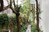 Nam ca sĩ 8X sở hữu 13 nhà và biệt thự trồng gì trong khu vườn ở biệt thự 20 tỷ mà khiến fan nữ ngất ngây? Nam ca sĩ 8X sở hữu 13 nhà và biệt thự trồng gì trong khu vườn ở biệt thự 20 tỷ mà khiến fan nữ ngất ngây?