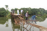 Chuyện cầu Bồng Lai bị sập trong đêm và ước nguyện của dân làng Chuyện cầu Bồng Lai bị sập trong đêm và ước nguyện của dân làng