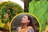 Lê Thúy về quê khoe đặc sản quê nhà, Lan Khuê trố mắt vì "Canh lạ quá" Lê Thúy về quê khoe đặc sản quê nhà, Lan Khuê trố mắt vì "Canh lạ quá"