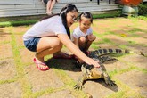 Ông bố Bình Dương làm 'công viên bò sát tiền sử' 1.400 m2 cho con Ông bố Bình Dương làm 'công viên bò sát tiền sử' 1.400 m2 cho con
