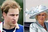 Cuộc gặp 30 phút với William khiến bà Camilla muốn uống rượu Cuộc gặp 30 phút với William khiến bà Camilla muốn uống rượu