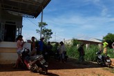 Dân khổ vì sống cạnh khu chăn nuôi Dân khổ vì sống cạnh khu chăn nuôi