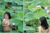 ĐBQH nói gì về việc nữ diễn viên không tên tuổi chụp ảnh khỏa thân lố bịch bên hồ sen ĐBQH nói gì về việc nữ diễn viên không tên tuổi chụp ảnh khỏa thân lố bịch bên hồ sen