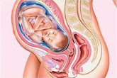 Làm sao biết thai nhi trong bụng là con ai? Làm sao biết thai nhi trong bụng là con ai?