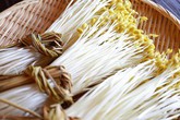 Vì sao giá đỗ khổng lồ Nhật Bản dài 40 cm có giá đắt đỏ? Vì sao giá đỗ khổng lồ Nhật Bản dài 40 cm có giá đắt đỏ?