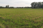 Huyện Quảng Xương (Thanh Hóa): Nhà thầu mất tích, 200 ha đất... “đi hoang” Huyện Quảng Xương (Thanh Hóa): Nhà thầu mất tích, 200 ha đất... “đi hoang”