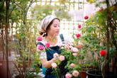 Sân thượng nhỏ 'chứa' cả trăm gốc hồng đẹp mê hoặc của mẹ ba con ở Hà Nội Sân thượng nhỏ 'chứa' cả trăm gốc hồng đẹp mê hoặc của mẹ ba con ở Hà Nội