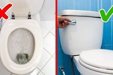 Không đậy nắp bồn cầu khi xả nước, chuyên gia cảnh cáo lỗi sai tai hại ai cũng mắc Không đậy nắp bồn cầu khi xả nước, chuyên gia cảnh cáo lỗi sai tai hại ai cũng mắc