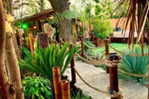 Ông chồng chi cả đống tiền để biến vườn nhà thành thiên đường nhiệt đới cho người vợ không thể đi du lịch Ông chồng chi cả đống tiền để biến vườn nhà thành thiên đường nhiệt đới cho người vợ không thể đi du lịch