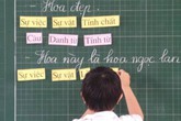 Cho con học trước lớp 1, cha mẹ đã thử hỏi ý con? Cho con học trước lớp 1, cha mẹ đã thử hỏi ý con?