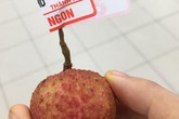 'Thánh lầy' vào siêu thị mua đúng 1 quả vải với giá 1 nghìn khiến MXH dậy sóng 'Thánh lầy' vào siêu thị mua đúng 1 quả vải với giá 1 nghìn khiến MXH dậy sóng