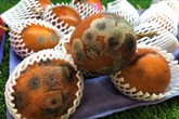 Chanh leo mốc meo giá gần triệu bạc/kg “cháy hàng” trong ngày hè nắng nóng Chanh leo mốc meo giá gần triệu bạc/kg “cháy hàng” trong ngày hè nắng nóng