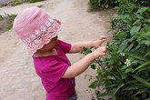 Những kỹ năng cần thiết để trẻ có kỳ nghỉ ở quê thú vị Những kỹ năng cần thiết để trẻ có kỳ nghỉ ở quê thú vị