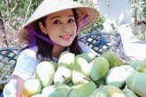 Việt Trinh thu hàng trăm kg trái cây từ nhà vườn 2.500 m2 Việt Trinh thu hàng trăm kg trái cây từ nhà vườn 2.500 m2