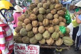 Sầu riêng rừng Campuchia rao 10.000 đồng nhưng bán tới 60.000 đồng/kg Sầu riêng rừng Campuchia rao 10.000 đồng nhưng bán tới 60.000 đồng/kg