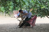 Từ phận phu vàng ngập ngụa thuốc phiện đến nông dân giàu có Từ phận phu vàng ngập ngụa thuốc phiện đến nông dân giàu có