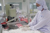 Ngày càng nhiều người Việt dùng thuốc Việt để phòng, chữa bệnh Ngày càng nhiều người Việt dùng thuốc Việt để phòng, chữa bệnh