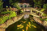 Hồ cá Koi 5 tỷ được Hoàng Mập đặt tên vô cùng đặc biệt Hồ cá Koi 5 tỷ được Hoàng Mập đặt tên vô cùng đặc biệt