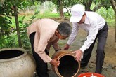 Sốt xuất huyết bùng phát, số bệnh nhân nhập viện gia tăng Sốt xuất huyết bùng phát, số bệnh nhân nhập viện gia tăng
