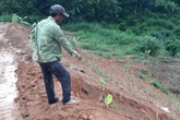 Huyện Đăk Hà, tỉnh Kon Tum: Người dân sống khổ ở khu tái định cư Huyện Đăk Hà, tỉnh Kon Tum: Người dân sống khổ ở khu tái định cư