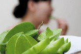 Khế rất tốt nhưng không phải ai cũng ăn được bởi một loại độc tố có thể gây tử vong nếu mắc bệnh này Khế rất tốt nhưng không phải ai cũng ăn được bởi một loại độc tố có thể gây tử vong nếu mắc bệnh này
