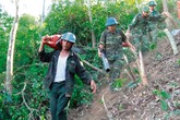 Vụ cháy lớn ở Hà Tĩnh: Những người dân xả thân cứu rừng Vụ cháy lớn ở Hà Tĩnh: Những người dân xả thân cứu rừng