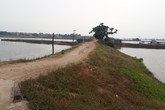 TP Sầm Sơn (Thanh Hóa): Trước mùa mưa bão, hàng nghìn hộ dân lo đê vỡ TP Sầm Sơn (Thanh Hóa): Trước mùa mưa bão, hàng nghìn hộ dân lo đê vỡ