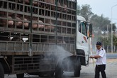 Sự vô trách nhiệm trước dịch bệnh Sự vô trách nhiệm trước dịch bệnh