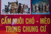 Nuôi chó, mèo trong chung cư và những câu chuyện dở khóc dở cười Nuôi chó, mèo trong chung cư và những câu chuyện dở khóc dở cười
