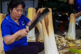 Bán củ hủ dừa lãi hơn 50 triệu đồng mỗi tháng Bán củ hủ dừa lãi hơn 50 triệu đồng mỗi tháng