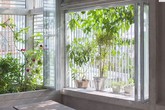 Nhà ống Sài Gòn như chiếc lồng đón nắng gió Nhà ống Sài Gòn như chiếc lồng đón nắng gió