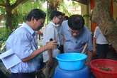 Nhận diện loại muỗi truyền bệnh sốt xuất huyết Nhận diện loại muỗi truyền bệnh sốt xuất huyết